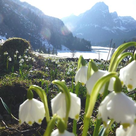 Berghotel Obersee Näfels Kültér fotó