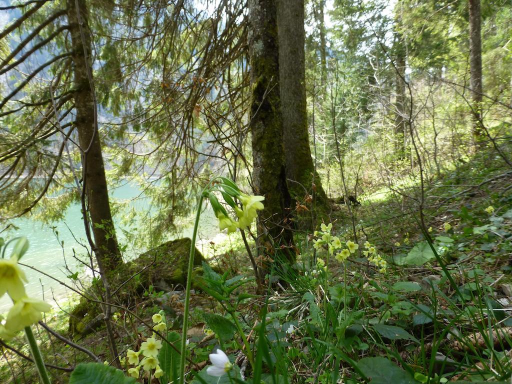 Berghotel Obersee Näfels Kültér fotó