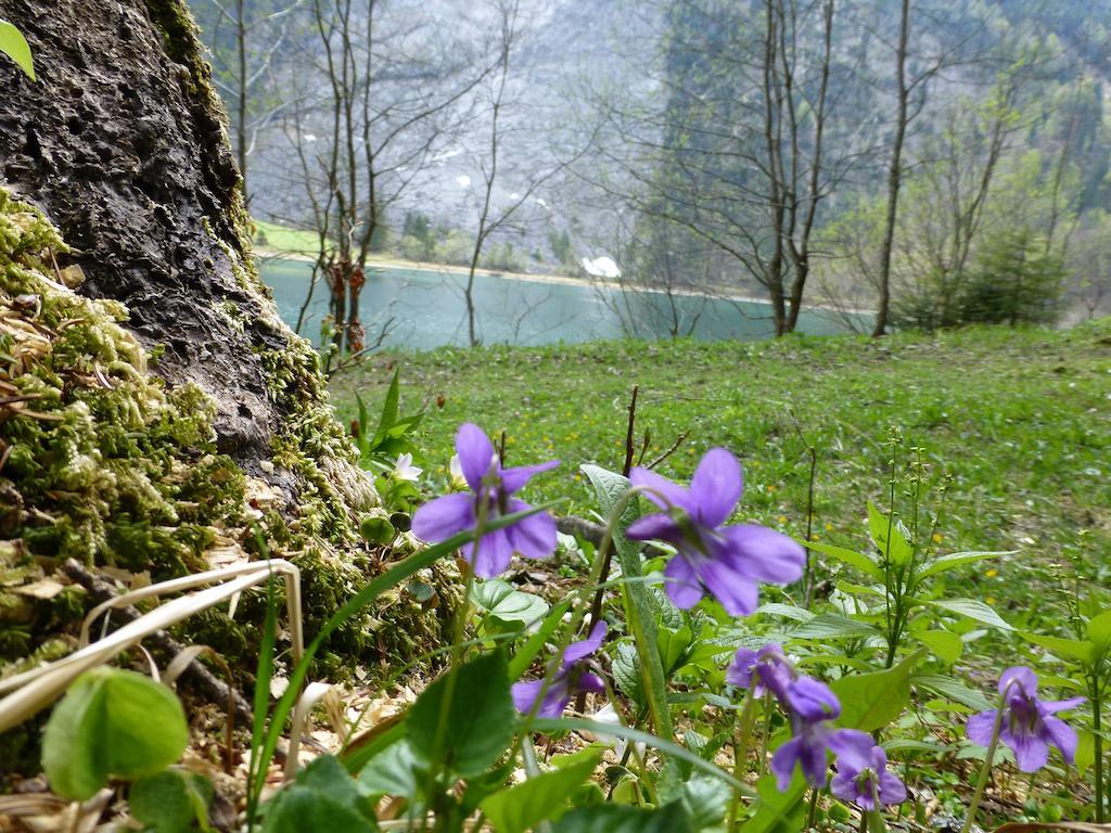 Berghotel Obersee Näfels Kültér fotó