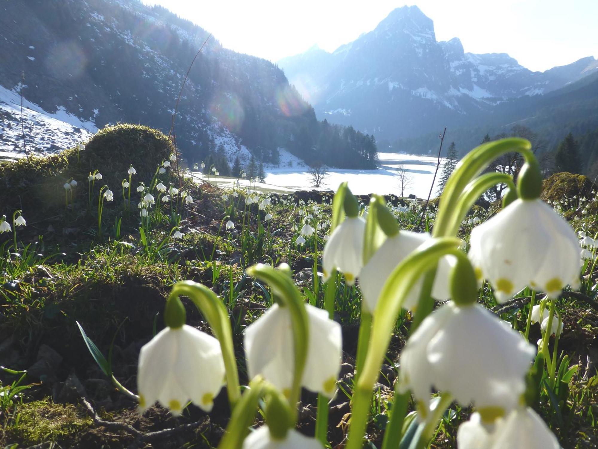 Berghotel Obersee Näfels Kültér fotó