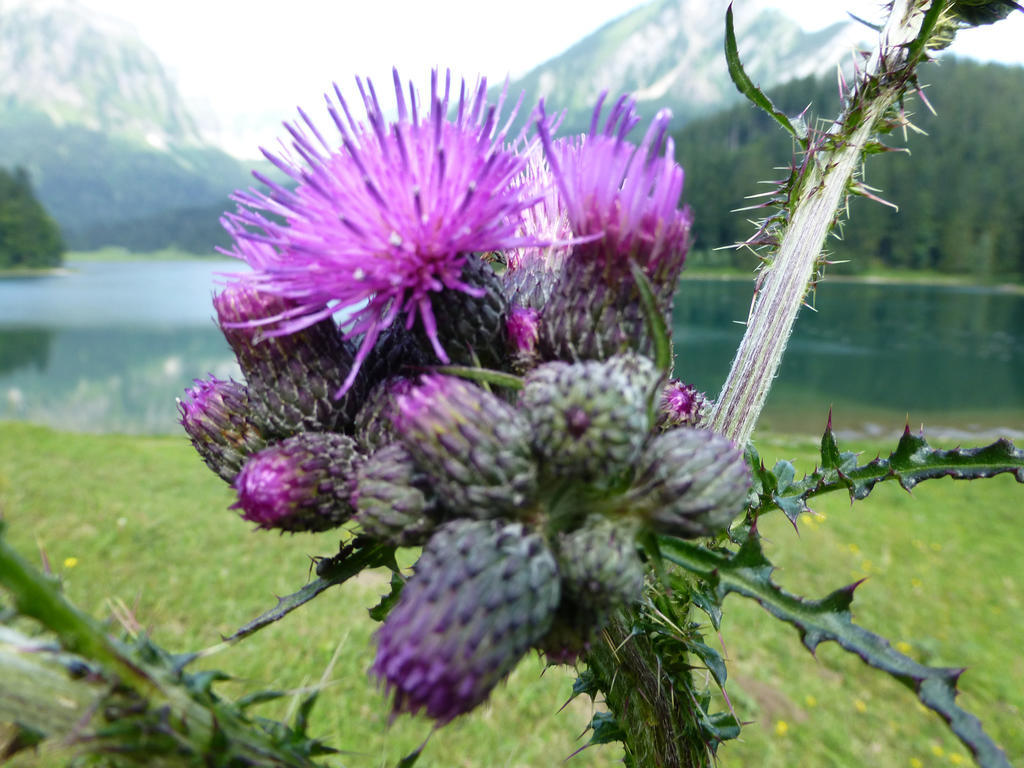 Berghotel Obersee Näfels Kültér fotó