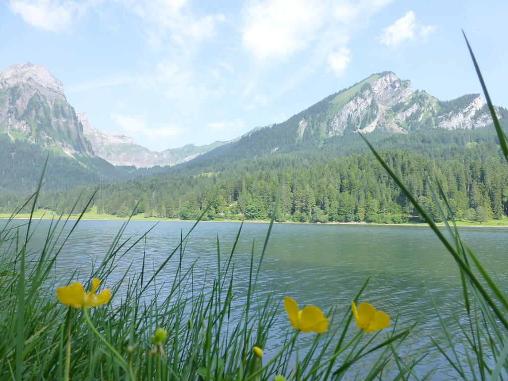 Berghotel Obersee Näfels Kültér fotó