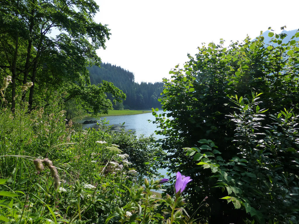Berghotel Obersee Näfels Kültér fotó